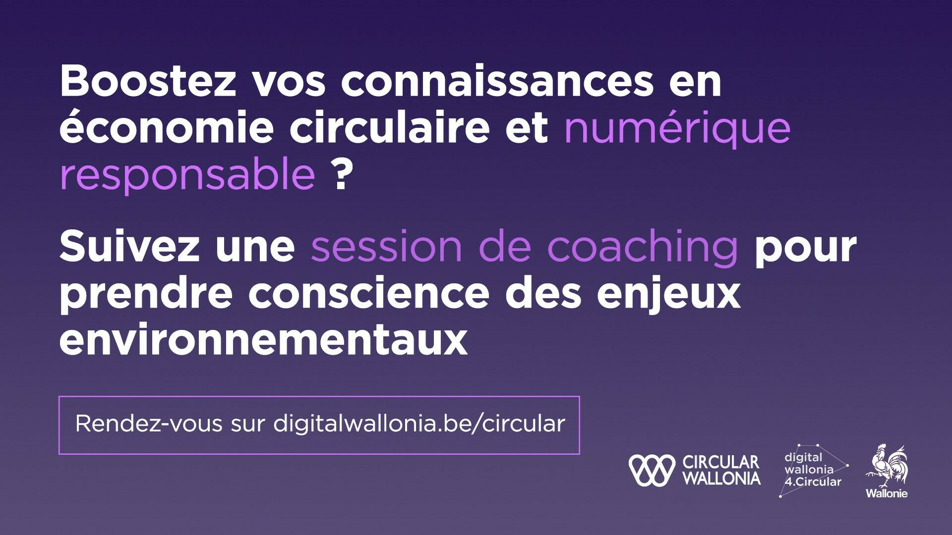 Convertissez votre entreprise à l'économie circulaire & au numérique responsable via Digital Wallonia