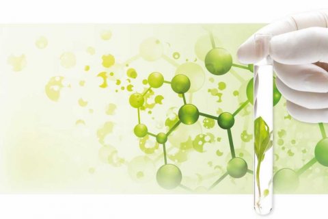 Les Conférences Chimie Verte et Biotechnologie Blanche – le grand rendez-vous international annuel de GreenWin