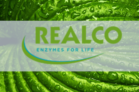 Realco et ses solutions pour renaître de ses cendres